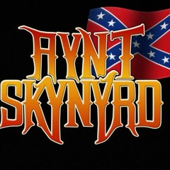 Aynt Skynyrd - Working for MCA (live in the studio)