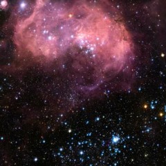 Spacey
