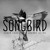 Artwork for Aaron Carolina ft Johnny Astro- SongBird(fin)