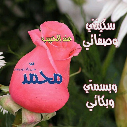 بشرانا إن نحن رأينا