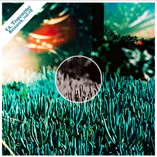 Lynch Dough // Paula Daunt