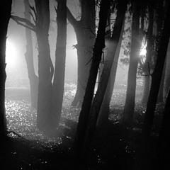 Tatlum - Shadows (preview of version)