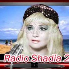 احمد ومحمد شغلوني