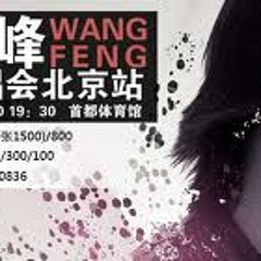 汪峰 当我想你的时候 MV 2010北京信仰.mp3