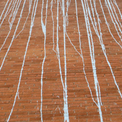 M-A Reinhardt - Rien pour acquis