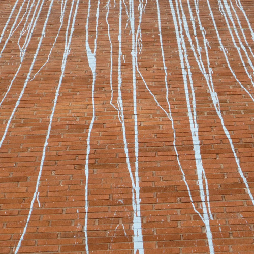 M-A Reinhardt - Rien pour acquis