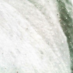 Martin Tétreault Live in St Henri