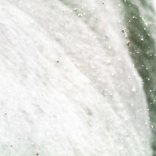 Andrea Neumann Live in St Henri