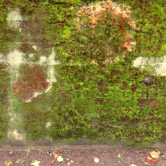 บทกวีและช่องว่าง(live)