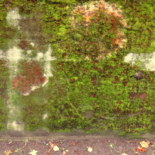 บทกวีและช่องว่าง(live)