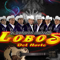 Los Lobos del Norte - Mi Querido Sabio - album 2012