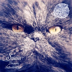 Dosem : Star Safari @ Suara
