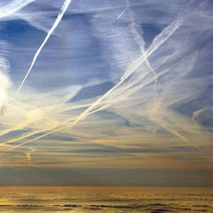 soysorion/ seek karma