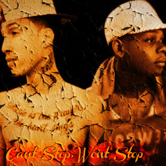 I Dont Like Freestyle Remix