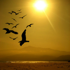 06 Baby do Brasil - Felicidade(L. Rodrigues)