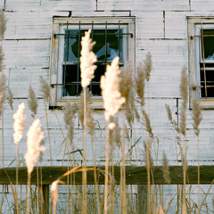 To Build A Home-Prima Quartet Interpretation