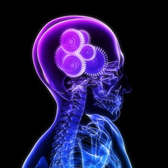 Quench V's Lincoln Park - Dream Encore(Steve Soma's Goin In Mashed Mix)