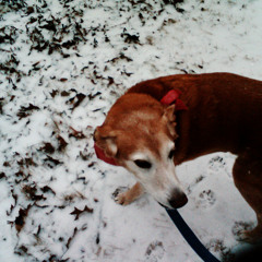 Chris Missing You -3ManRush