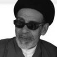 سيد جعفر الكربابادي - سور الحرم