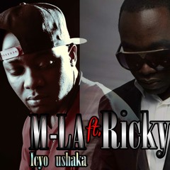 Mbwira(icyo ushaka) by M-Lambert feat ricky akaga