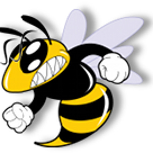 D2-Wasp-DUB(2010)