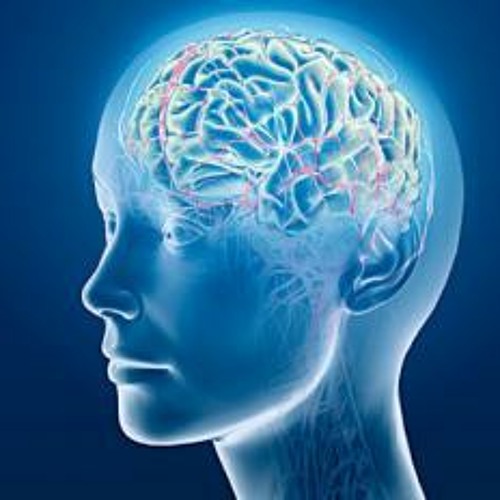 Spirit Architect vs Psychotropic Intelligence