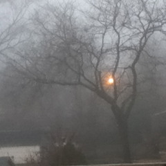 A house in the fog