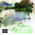 Artwork for Flow
