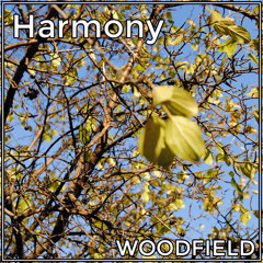 Harmony