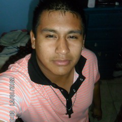 PERRA - LOS PALMERA - DJ AL3 DE CURITA - SOCIO DE LOS ESTILO - 2012