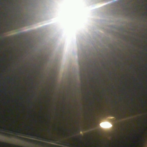 Shadow Of A Fallen Angel