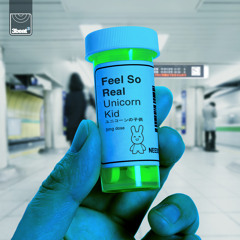 Unicorn Kid - Feel So Real (Radio Edit)