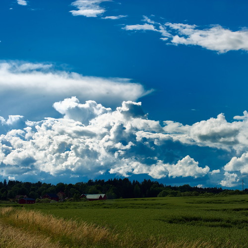 Blott en dag Dreams remix