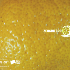 Jeremy Macachor - Shock Love (Zengineers Science Remix) -->Free Download!