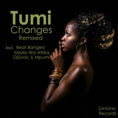 Gintonic Da Colly Feat. Tumi - Changes (Gintonic Da Colly Main Vocal  Mix) [Sample]