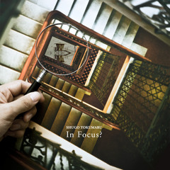 Shugo Tokumaru - Decorate
