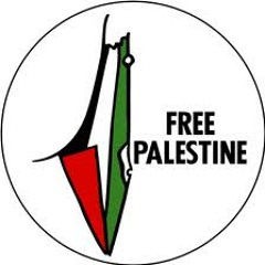 Ray Money - FREE PALESTINE