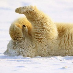 La Bande à Basile - La chenille (Douster Gwada rmx)