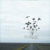 Artwork for Thieves