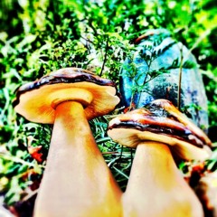 KROSS HILL - sodoma y gomorra