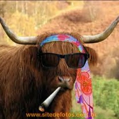 Latinfúndio Pop Star