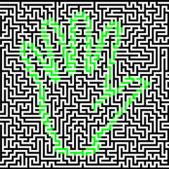 07