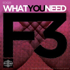F3 - What You Need (Downtown Party Network Remix) [Electronique]