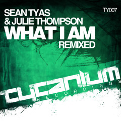 Sean Tyas feat. Julie Thompson - What I Am (Bryan Kearney Remix)
