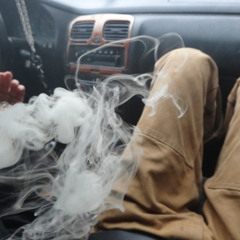 Jungle Up (Lunar Express)