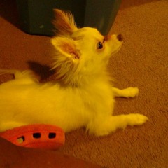 Drama - Fats D & Wil Black   (1994)