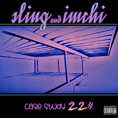 Sling & imchi - Case Study 22#