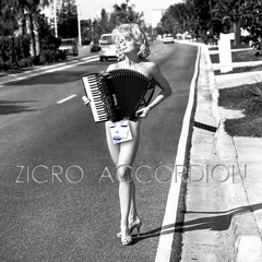 Madonna - Erotica 2014 new  (Zicro Accordion Cover Instrumental Mix )