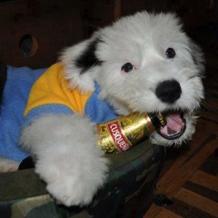 Por Que Esperaste Que Me Enamorara-((JUANCARLOS))Para Las Bandidas