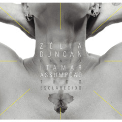 Zelia Duncan